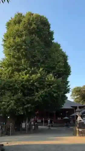 勝福寺(神奈川県)