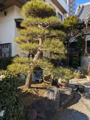 瑞泰寺(東京都)