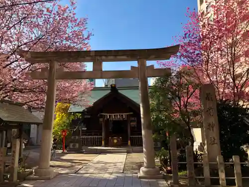 蔵前神社の鳥居