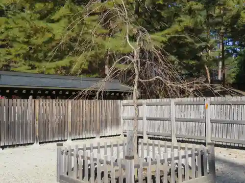 身曾岐神社の庭園