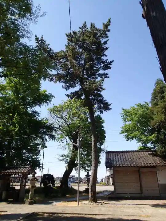 味知郷神社の自然