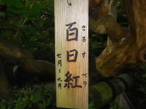 長谷寺のその他建物