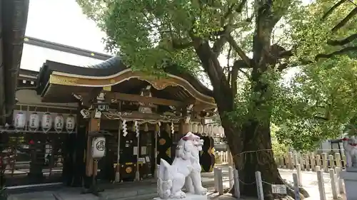 石津神社の本殿・本堂