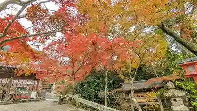 鍬山神社(京都府)