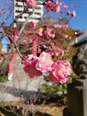 成子天神社の自然