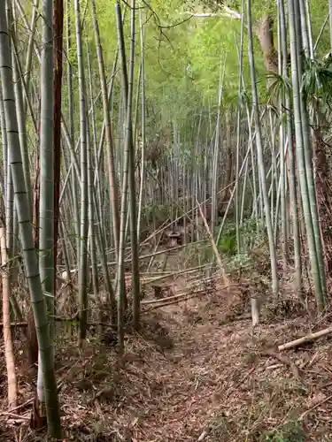 熊野神社の自然