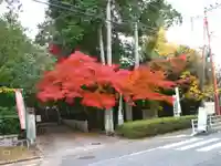 安養寺のその他建物