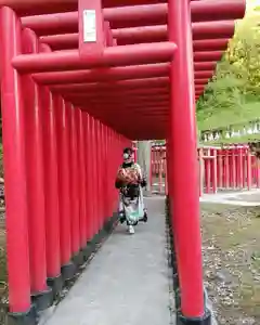 白狐山光星寺の鳥居(2022年05月03日(火) 20時58分02秒投稿)