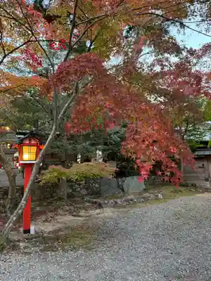 大原野神社(京都府)