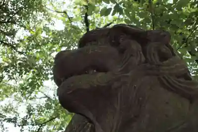 鷲宮神社の狛犬