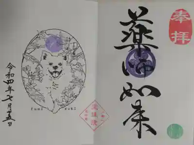 日本スピッツとキレンゲショウマの絵