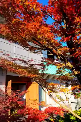 寿量山 速成寺(奈良県)