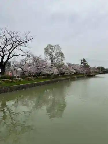 長岡天満宮(京都府)