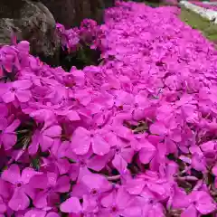 寿量山　速成寺の自然