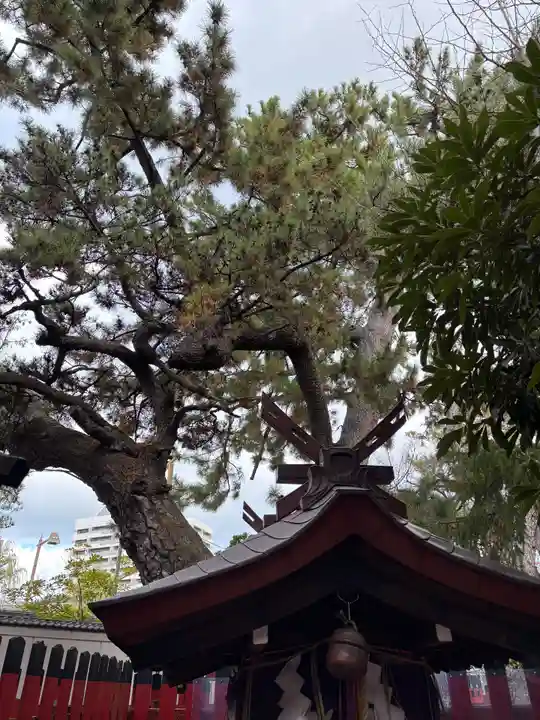 白山神社(新潟県)