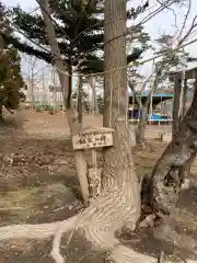 壮瞥神社(北海道)