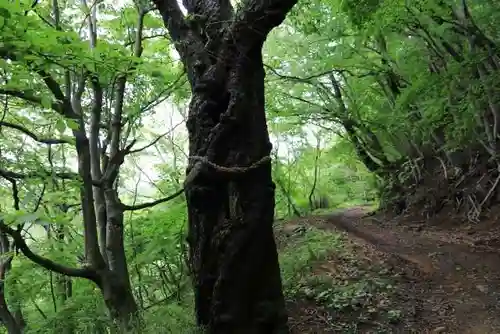飯豊和気神社の自然