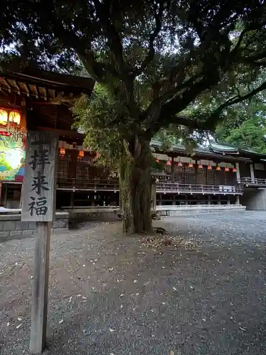 平塚八幡宮(神奈川県)