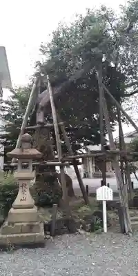 若宮神社(三嶋大社元摂社)(静岡県)