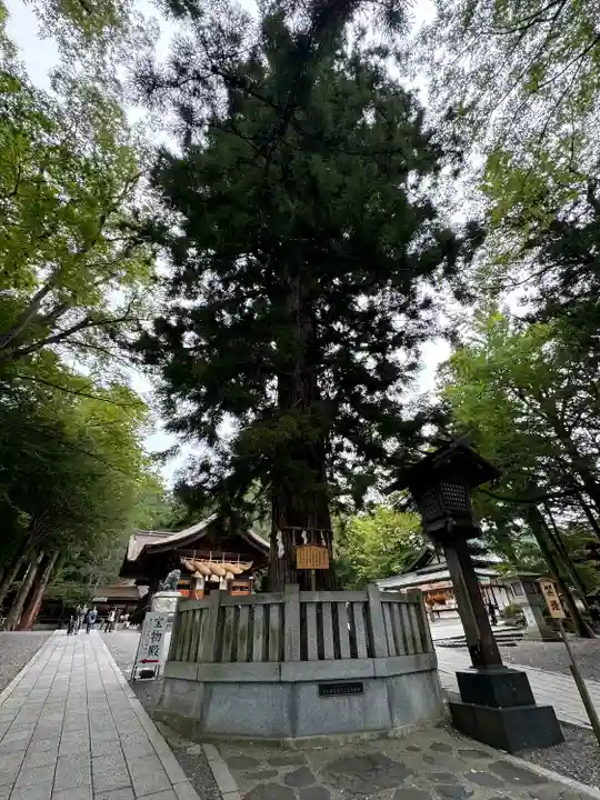 諏訪大社下社秋宮(長野県)