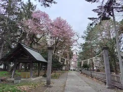 東川神社の鳥居