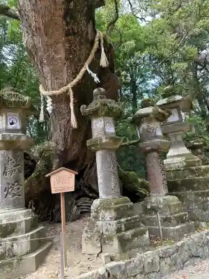 春日大社(奈良県)