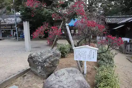 道明寺天満宮の庭園