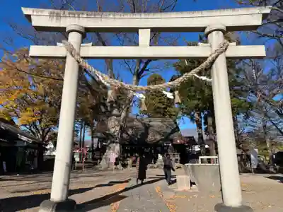 白鳥神社(長野県)