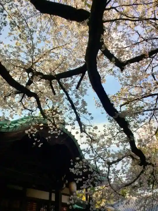 龍光寺(東京都)