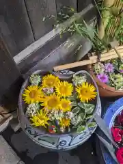 多賀神社の手水