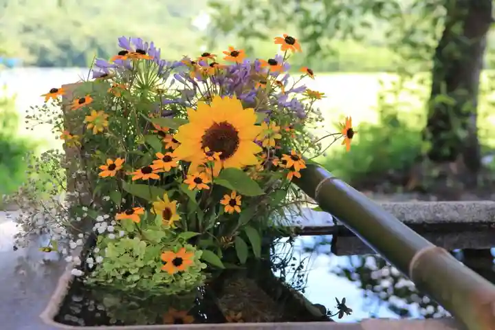 高司神社〜むすびの神の鎮まる社〜の手水舎