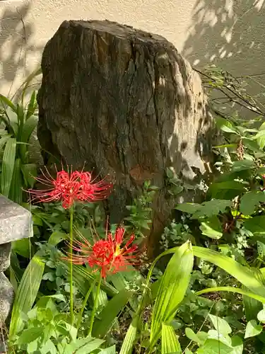 粟嶋堂宗徳寺の自然