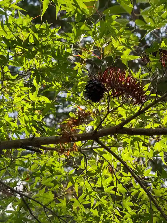 円覚寺(神奈川県)