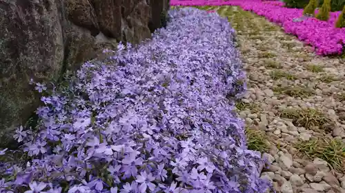 寿量山　速成寺の自然