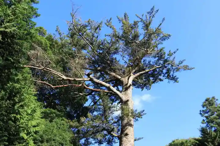 滑川神社 - 仕事と子どもの守り神の自然