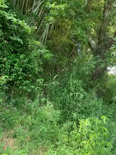 愛宕大権現の自然