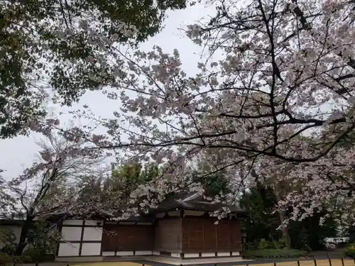 阿佐ヶ谷神明宮(東京都)