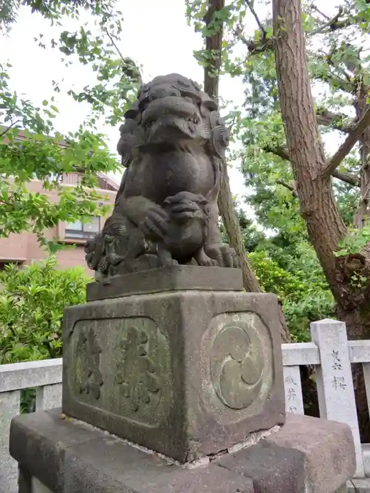 桐ヶ谷氷川神社の狛犬