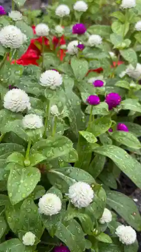 七重浜海津見神社(北海道)