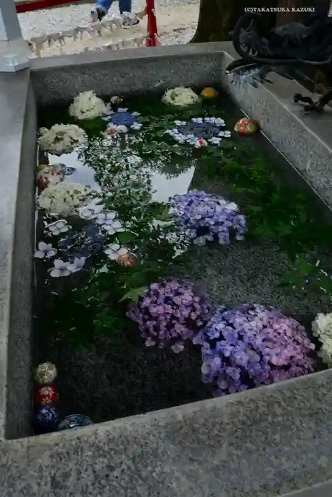 蛇窪神社の手水舎