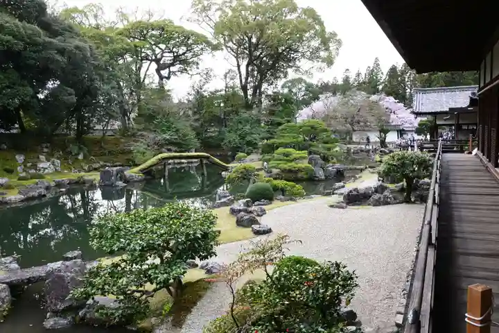 三宝院(三宝院門跡)(京都府)