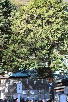 調神社(埼玉県)