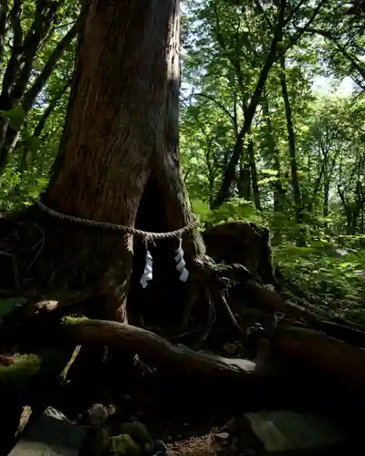 戸隠神社奥社(長野県)