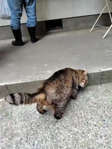 間々田八幡宮(栃木県)