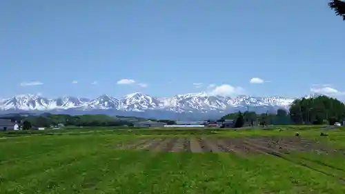美瑛神社の周辺