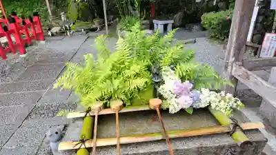 出雲大神宮(京都府)