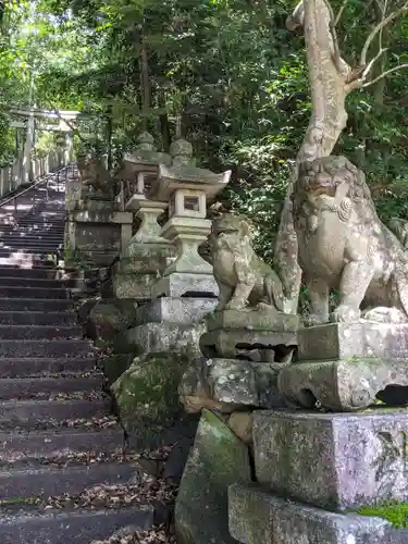 阿賀神社の狛犬