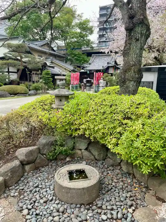 西雲寺の{uncategorized: "未分類", other: "その他", undefined: "問題あり", building: "その他建物", grave: "お墓", sacred_gate: "鳥居", guardian: "狛犬", statue: "像", buddha: "仏像", history: "歴史", nature: "自然", garden: "庭園", animal: "動物", pagoda: "塔", temizu: "手水舎", mountain_gate: "山門・神門", sanctuary: "本殿・本堂", subordinate: "末社・摂社", art: "芸術", scenery: "景色", jizo: "地蔵", ema: "絵馬", goshuin: "御朱印", omikuji: "おみくじ", items: "授与品その他", amulet: "お守り", goshuincho: "御朱印帳", eats: "食事", festival: "お祭り", votive_dance: "神楽", shichigosan: "七五三参", wedding: "結婚式", experience: "体験その他", initially: "初詣", around: "周辺", anti_infection: "感染症対策"}