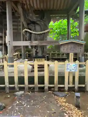 鶴嶺八幡宮(神奈川県)
