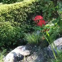 天台宗　長窪山　正覚寺の自然